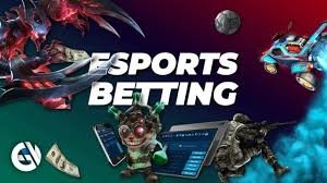 11bola Bull Bull